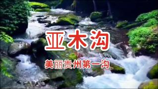 静谧飞行