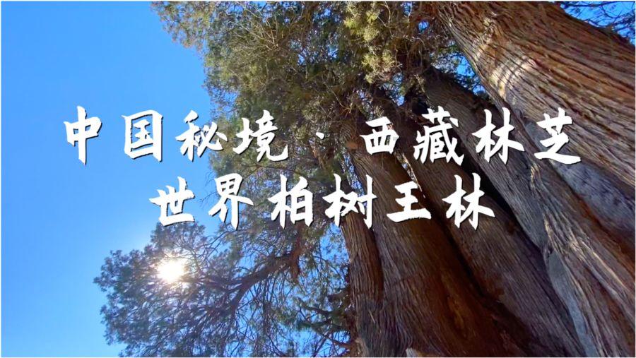 孤岛惊魂4